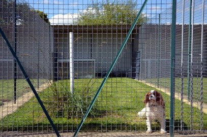 Domaine du Laitray, Gardien d'Animaux / Petsitter à Paimpont