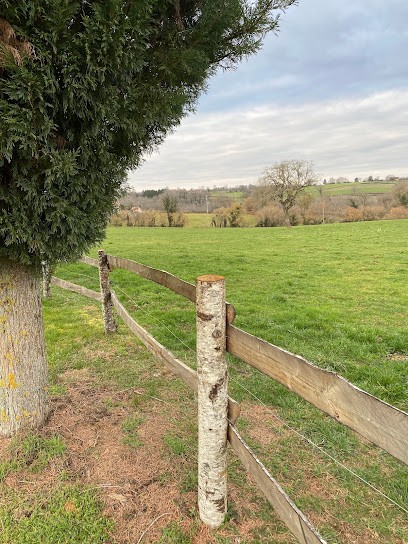 Auberge des 4 pattes, Gardien d'Animaux / Petsitter à Aigurande