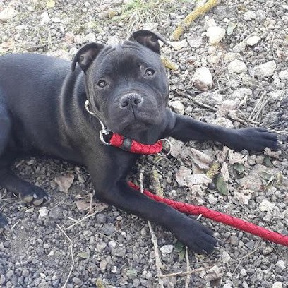 Luna&Co, Pension pour Animaux à Villeneuve-sur-Verberie