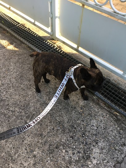 Nanie pet go, Gardien d'Animaux / Petsitter à Saint-Caprais-de-Bordeaux