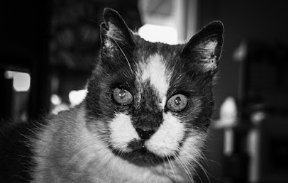 Mandine Et Cie Gardien D'animaux au Mans