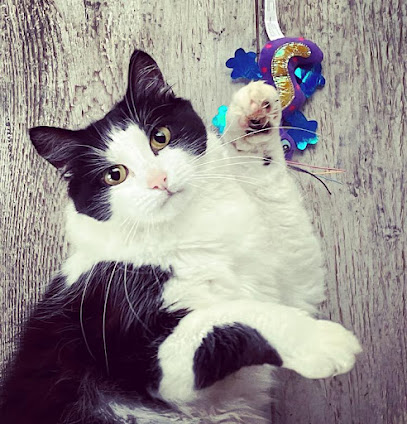 Anim'aux Logis - Services De Pet Sitting, Pension Pour Animaux à Volstroff