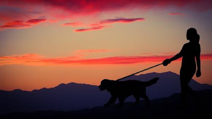 Pet Sitting Services Pension Pour Animaux à Villeneuve-Loubet