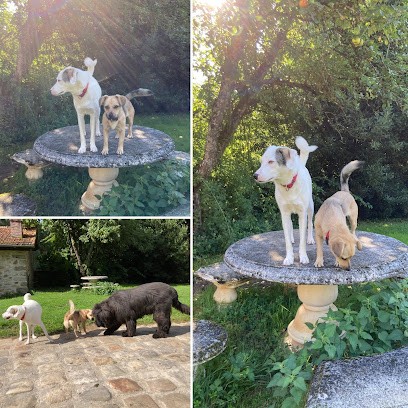 Cath' Pattes, Gardien d'Animaux / Petsitter à Verdelot