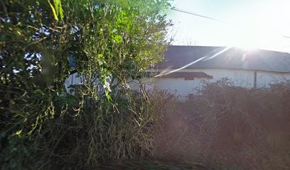 Le Libyca'ts - Pension pour chats, Pension pour Animaux à Beuzevillette