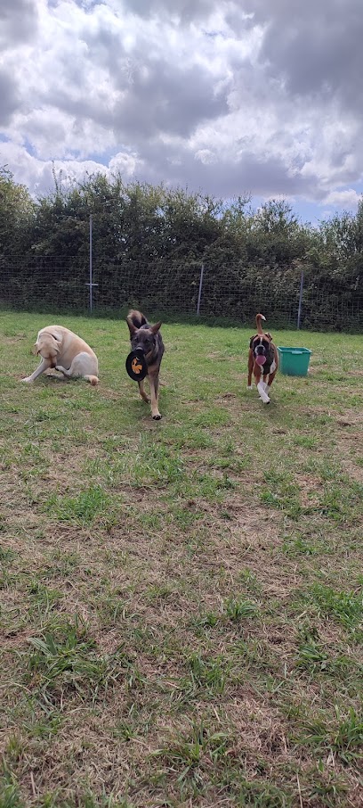Garderie Canine Fevereduc, Gardien D'animaux à Périers-en-Auge