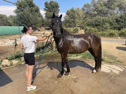 Hors'itting Provence, Gardien d'Animaux / Petsitter au Puy-Sainte-Réparade