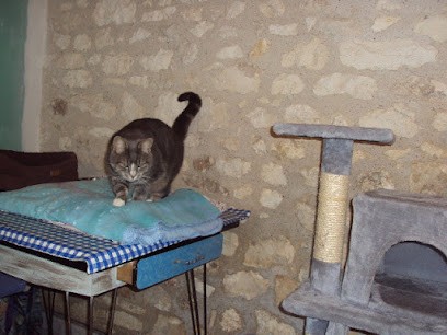 L'AmieMo, Pension pour Animaux à Vicq-sur-Gartempe