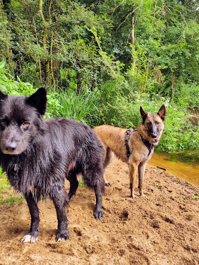 Les Z'anis De Kerjonc - Pension Animalière, Gardien D'animaux à Ménéac