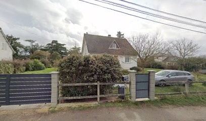 Romy Border Terrier, Gardien d'Animaux / Petsitter à Saint-Florent-sur-Cher