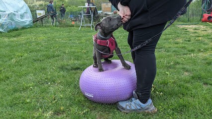 Centre Canin FayaLand, Pension pour Animaux à Blénod-lès-Toul