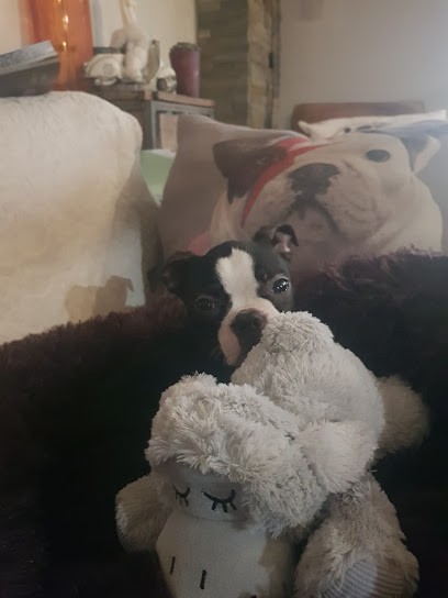 Animalerie De L'Aube, Animalerie à Romilly-sur-Seine