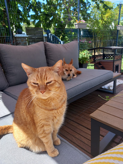 L'arche De Sab, Gardien D'animaux au Hézo