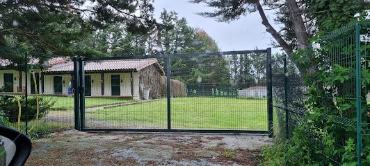 Pension De Malause, Pension pour Animaux à Sainte-Foy-d'Aigrefeuille