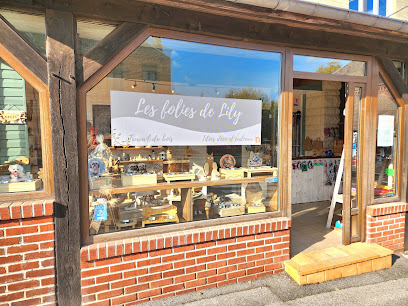 Les Folies De Lily : Boutique Pour Animaux, Animalerie à Saint-Michel