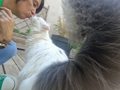 Julie et Compagnie 11, Pension pour Animaux à Saint-Marcel-sur-Aude