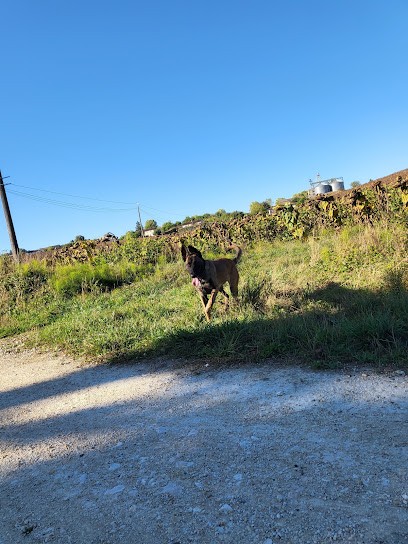 Sly et Co garde d'animaux, Gardien d'Animaux / Petsitter à Beauzelle