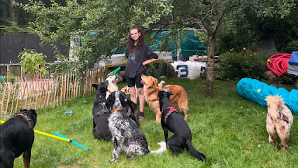 La Meute D'ayka, Gardien D'animaux à Chanteloup-les-Vignes