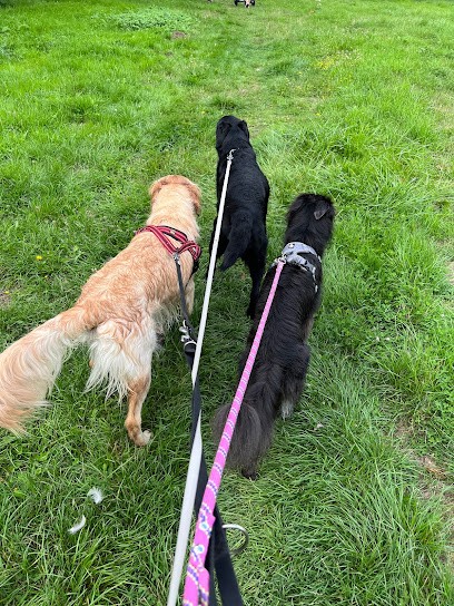 Kat et compagnie 28, Gardien d'Animaux / Petsitter à Nogent-le-Roi