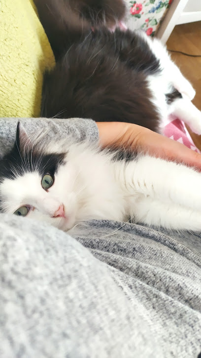 Faustyne & Compagnie Gardien D'animaux à Mouvaux