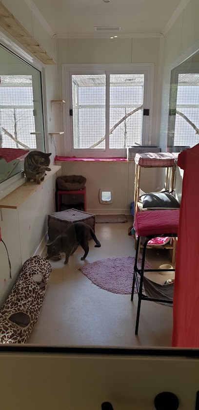 L'Arbre à chats - Pension pour chats, Animalerie à Entraigues-sur-la-Sorgue