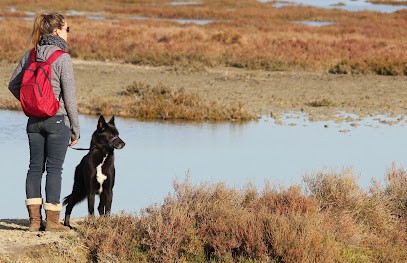 A.S.H Services Animaliers, Pension pour Animaux aux Abrets en Dauphiné