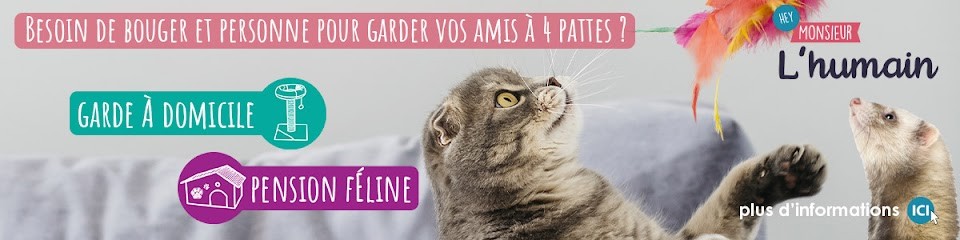 Monsieur l'Humain, Pension pour Animaux à Casson