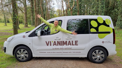 Vi'animale - Services Pour Animaux De Compagnie, Gardien D'animaux à Saint-Avé