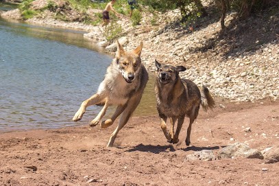 Moro Ichizoku No Design, Animalerie à Fitou
