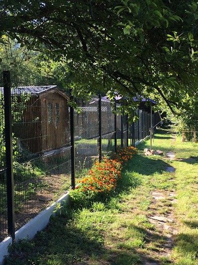 LE GITE DES 4 PATTES, Pension pour Animaux à Aubigny-au-Bac