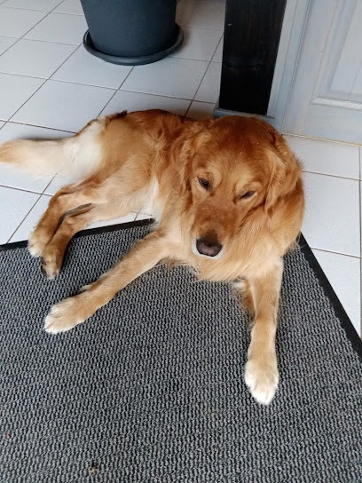 Nounounimo, Pension pour Animaux à Rumilly