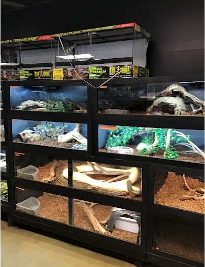 Native Exotics Europe, Animalerie à Morlaix
