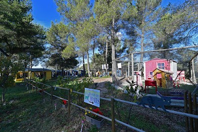 ABVA La Maison des Chats, Pension pour Animaux à Gardanne