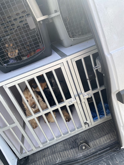 Trans Pet Access, Animalerie à Auge