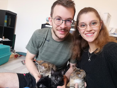 Les Patounes De Saint-Malo, Pension Pour Animaux à la Gouesnière