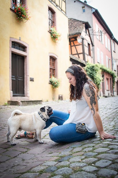 Les Accessoires de Never, Animalerie à Mollau