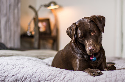 Canina Dog-Sitter Gard, Gardien D'animaux à Saint-Julien-de-Cassagnas