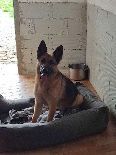 Pension Jagan, Gardien d'Animaux / Petsitter à Grenade