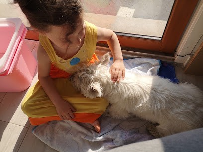 Elsa Et Cie, Pension pour Animaux à Rosny-sur-Seine