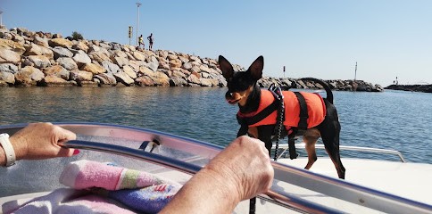 Canicat services, pension chats et chiens, Pension pour Animaux à Mézières-sur-Seine
