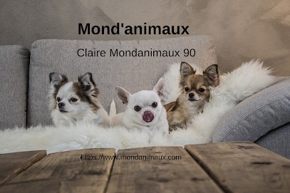 MOND'ANIMAUX, Gardien d'Animaux / Petsitter à Châtenois-les-Forges