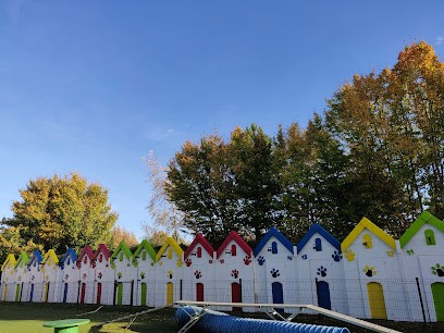 La Wouaf Wouaf, Gardien d'Animaux / Petsitter à Reims