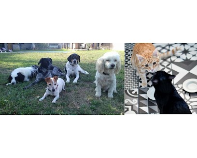 Entre chien et chat - Albagnac Josiane, Gardien d'Animaux / Petsitter à Cugnaux